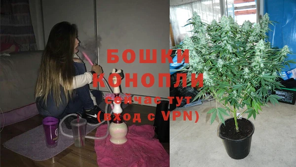 шишки Балахна