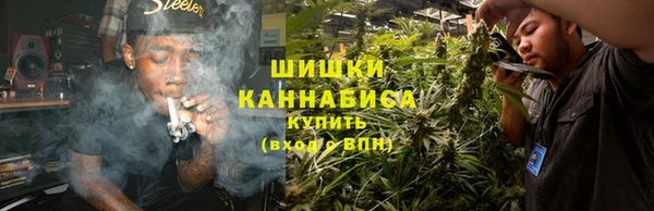 шишки Балахна
