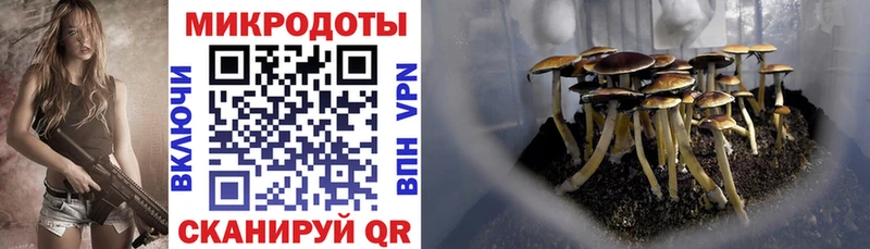 Галлюциногенные грибы ЛСД  Берёзовский 