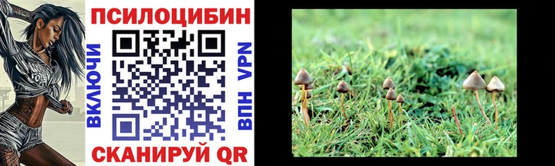 Псилоцибиновые грибы MAGIC MUSHROOMS Берёзовский